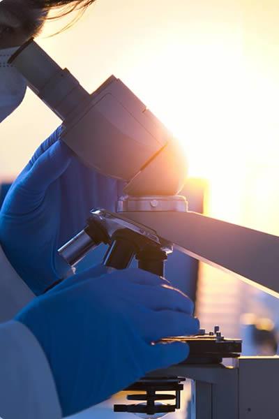 500 reliable sources of used mining equipment